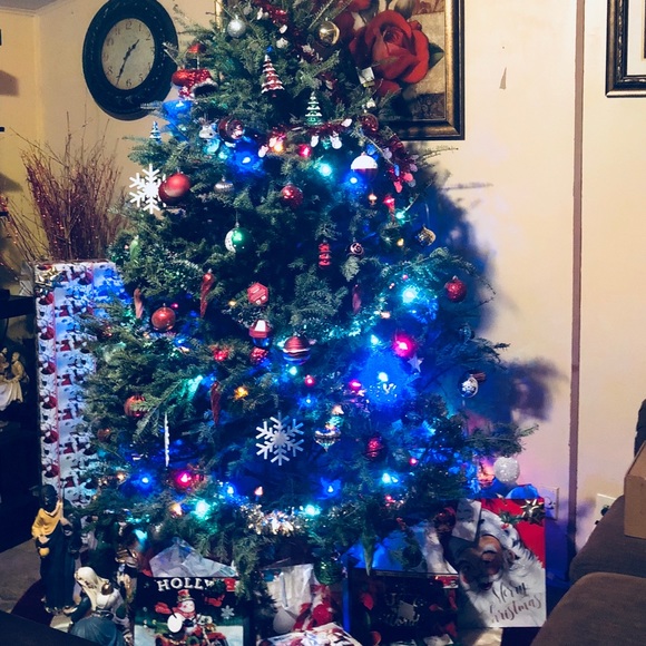 Meet your Posher, Luz - Picture 1 of 1